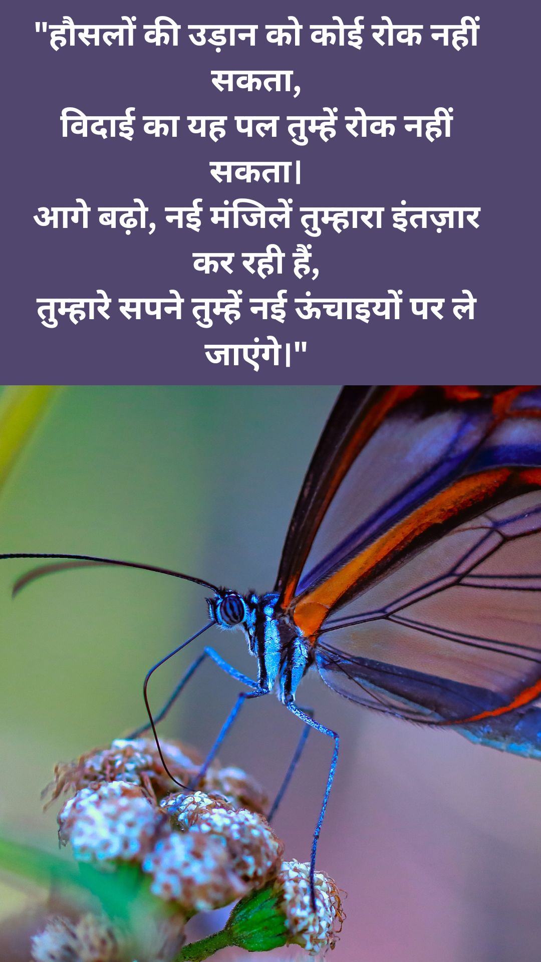 Farewell Shayari in Hindi
