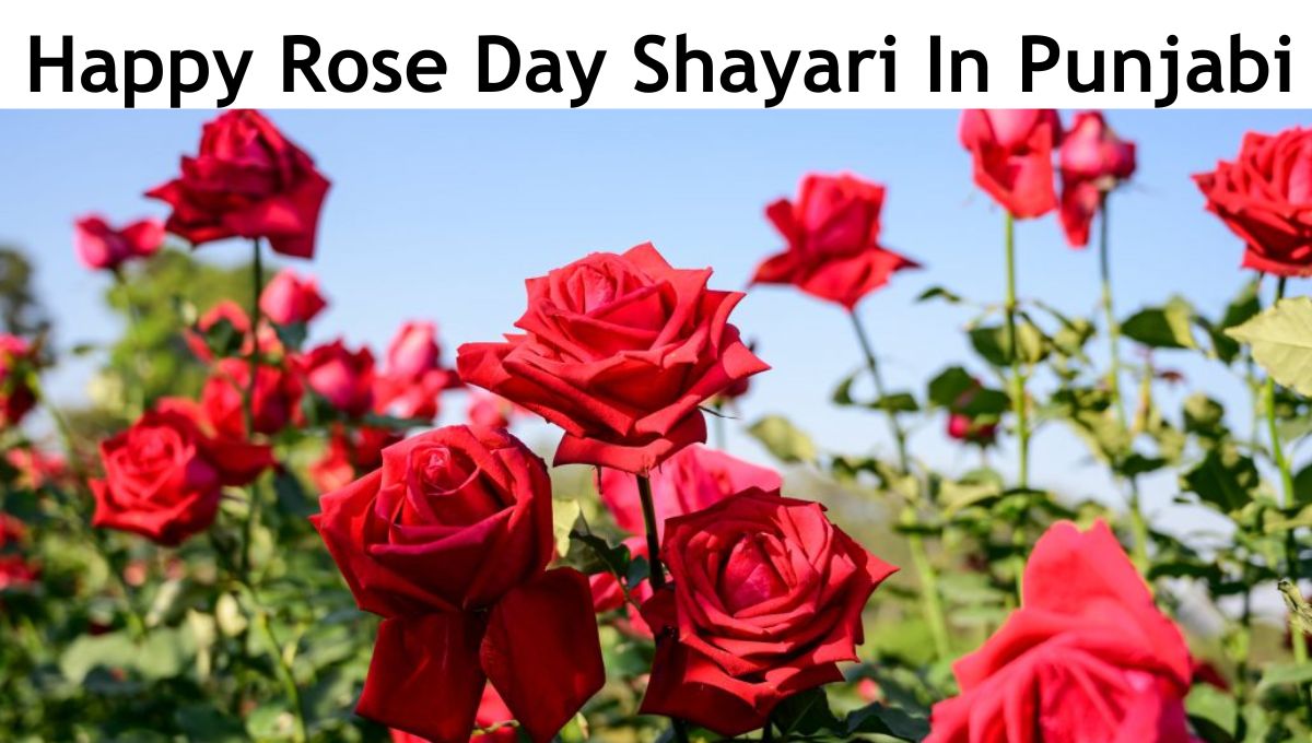 Happy Rose Day Shayari In Punjabi